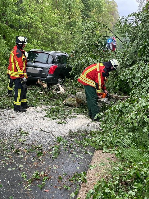 IMG-20220520-WA0029 bearbeitet groß.jpg